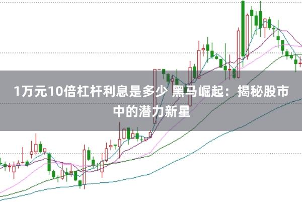 1万元10倍杠杆利息是多少 黑马崛起：揭秘股市中的潜力新星
