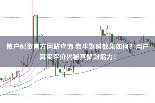 散户配资官方网站查询 犇牛聚财效果如何？用户真实评价揭秘其聚财能力！