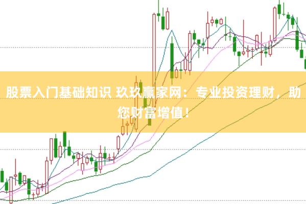 股票入门基础知识 玖玖赢家网：专业投资理财，助您财富增值！