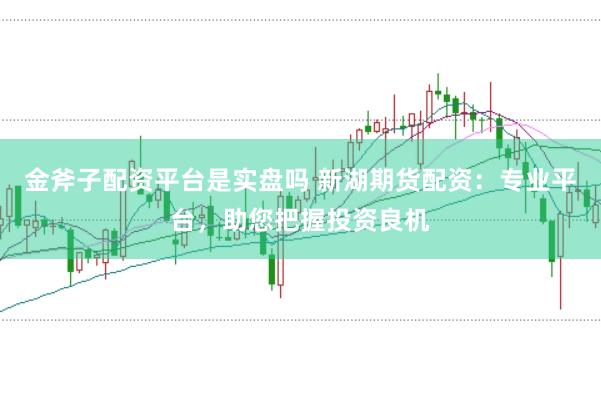 金斧子配资平台是实盘吗 新湖期货配资：专业平台，助您把握投资良机