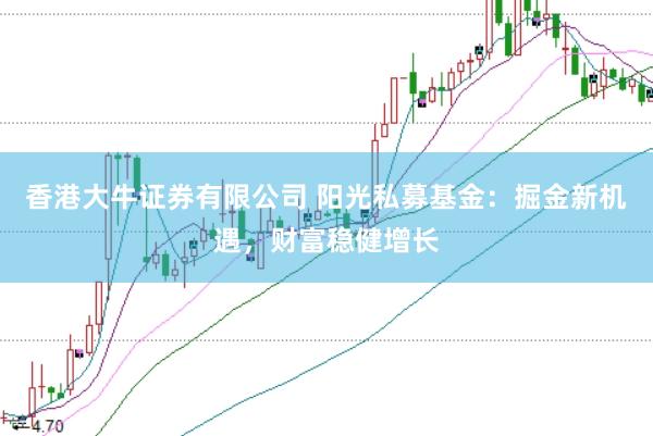 香港大牛证券有限公司 阳光私募基金：掘金新机遇，财富稳健增长
