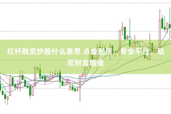 杠杆融资炒股什么意思 点金配资：专业平台，助您财富增值