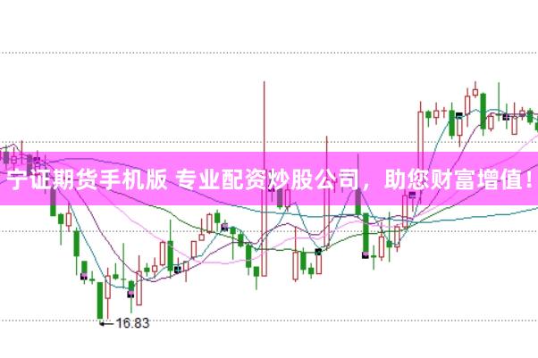 宁证期货手机版 专业配资炒股公司，助您财富增值！