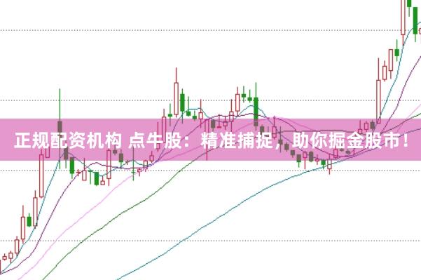 正规配资机构 点牛股：精准捕捉，助你掘金股市！