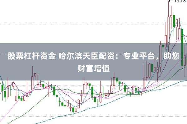 股票杠杆资金 哈尔滨天臣配资：专业平台，助您财富增值