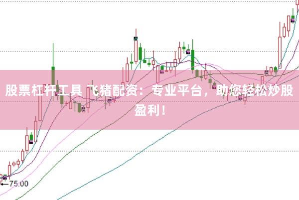 股票杠杆工具 飞猪配资：专业平台，助您轻松炒股盈利！