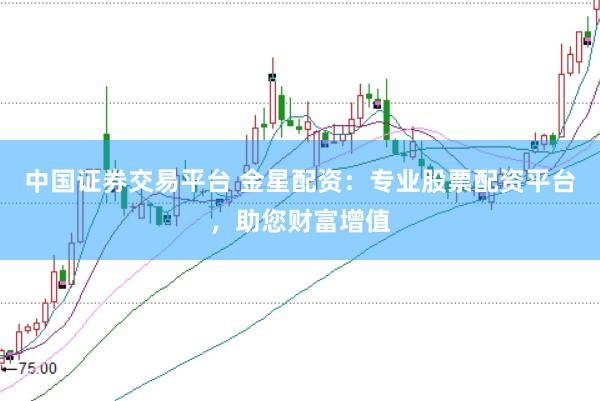 中国证券交易平台 金星配资：专业股票配资平台，助您财富增值