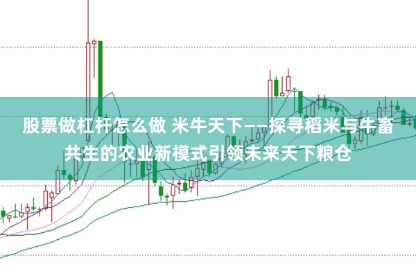 股票做杠杆怎么做 米牛天下——探寻稻米与牛畜共生的农业新模式引领未来天下粮仓