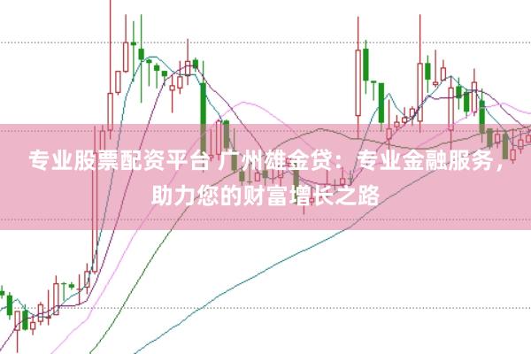 专业股票配资平台 广州雄金贷：专业金融服务，助力您的财富增长之路