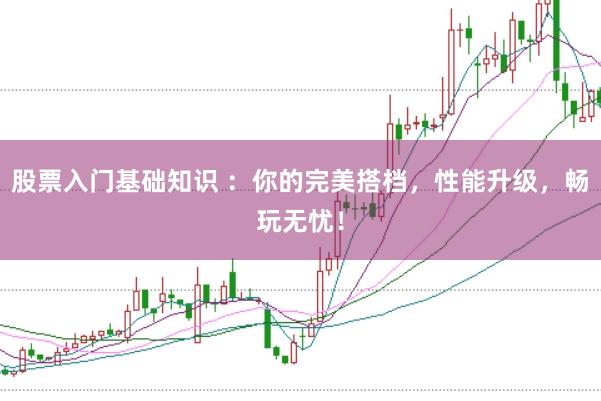 股票入门基础知识 ：你的完美搭档，性能升级，畅玩无忧！