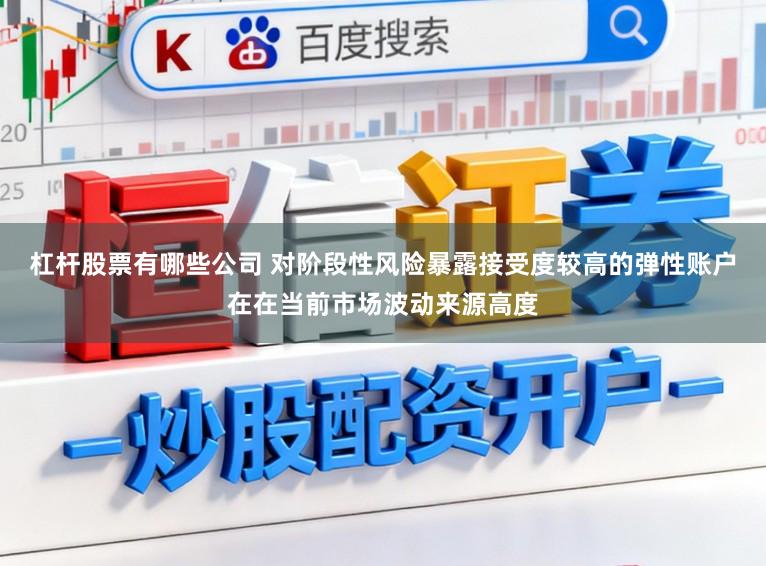杠杆股票有哪些公司 对阶段性风险暴露接受度较高的弹性账户在在当前市场波动来源高度
