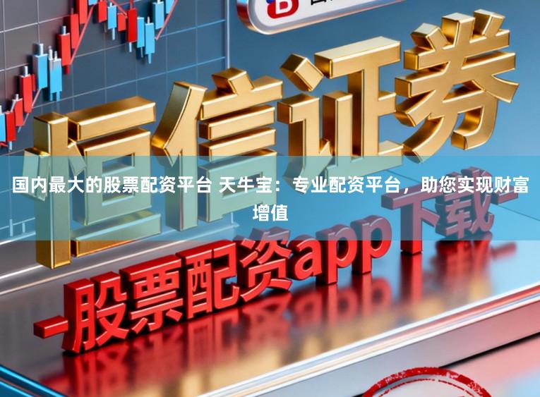 国内最大的股票配资平台 天牛宝：专业配资平台，助您实现财富增值