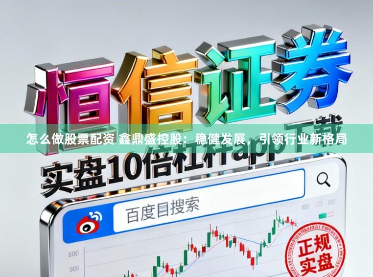 怎么做股票配资 鑫鼎盛控股：稳健发展，引领行业新格局